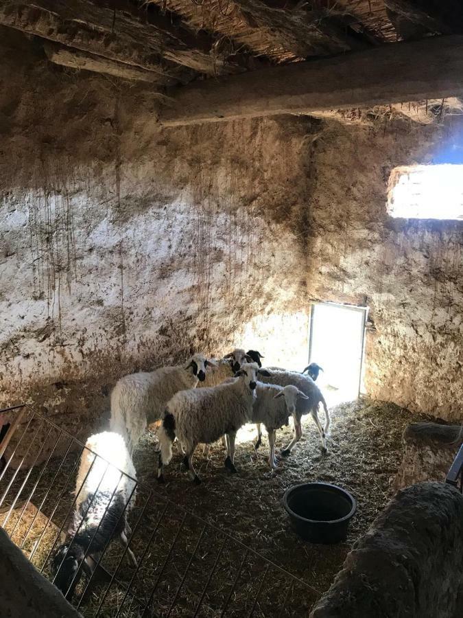 Ecologie Oasis Tafilalt Chez L' Habitant Hotel Errachidia Buitenkant foto