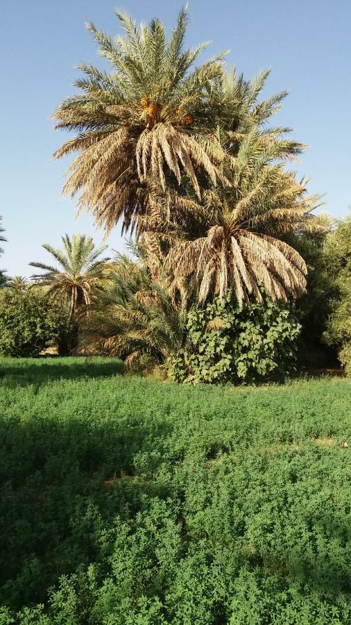 Ecologie Oasis Tafilalt Chez L' Habitant Hotel Errachidia Buitenkant foto